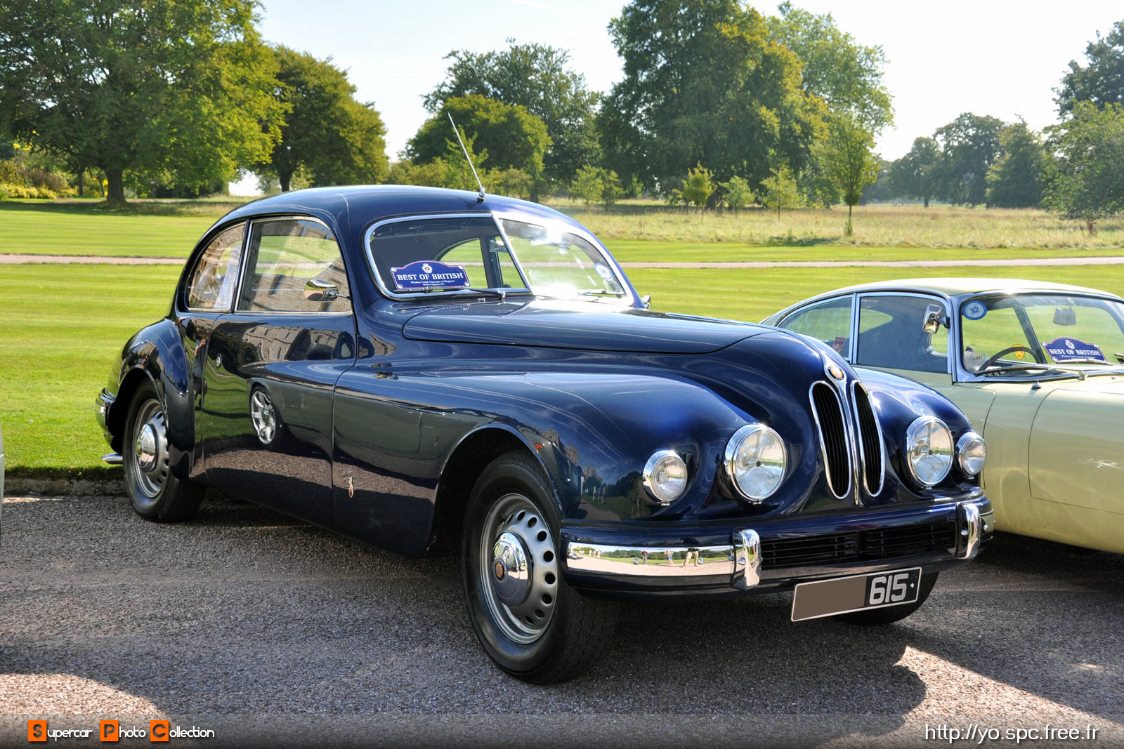 Bristol 401