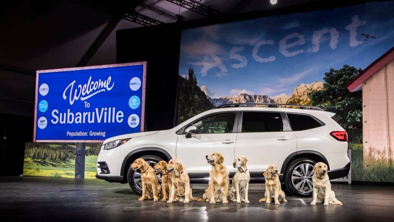 В трехрядный Subaru Ascent теперь помещается 7 больших собак
