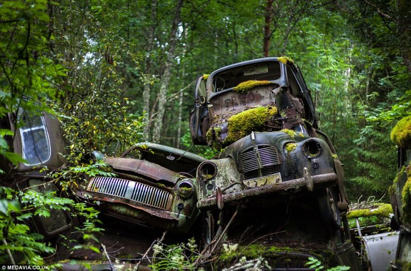 Автомобильные кладбища в лесах: и жутко, и странно, и интересно